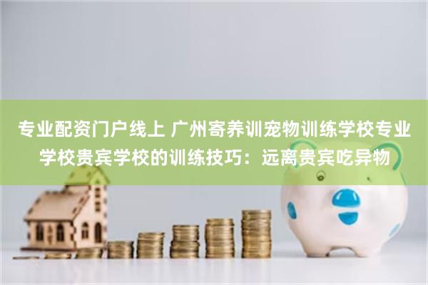 专业配资门户线上 广州寄养训宠物训练学校专业学校贵宾学校的训练技巧：远离贵宾吃异物