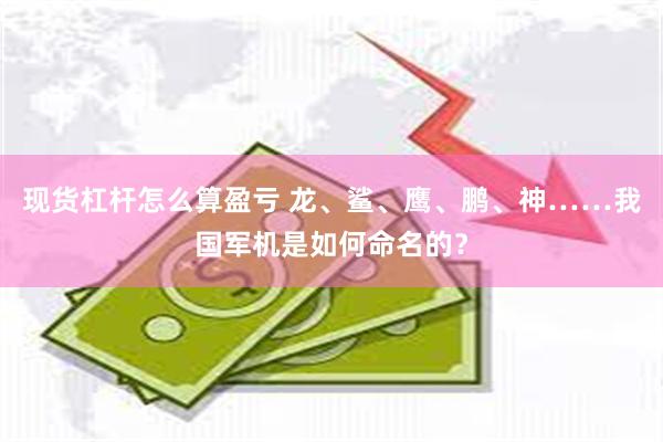 现货杠杆怎么算盈亏 龙、鲨、鹰、鹏、神……我国军机是如何命名的？