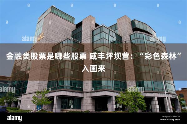 金融类股票是哪些股票 咸丰坪坝营:“彩色森林”入画来