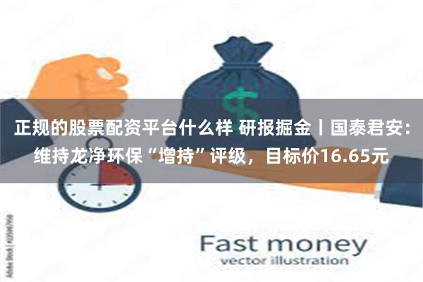 正规的股票配资平台什么样 研报掘金丨国泰君安:维持龙净环保“增持”评级,目标价16.65元
