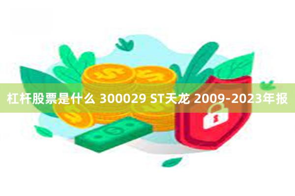 杠杆股票是什么 300029 ST天龙 2009-2023年报