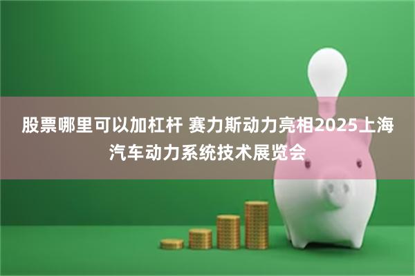 股票哪里可以加杠杆 赛力斯动力亮相2025上海汽车动力系统技术展览会