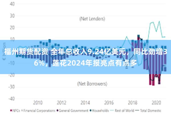 福州期货配资 全年总收入9.24亿美元,同比劲增36%,莲花2024年报亮点有点多