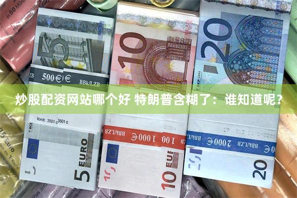 炒股配资网站哪个好 特朗普含糊了:谁知道呢?