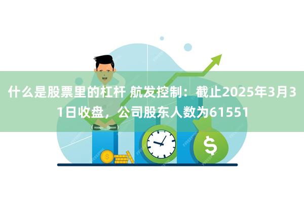 什么是股票里的杠杆 航发控制：截止2025年3月31日收盘，公司股东人数为61551