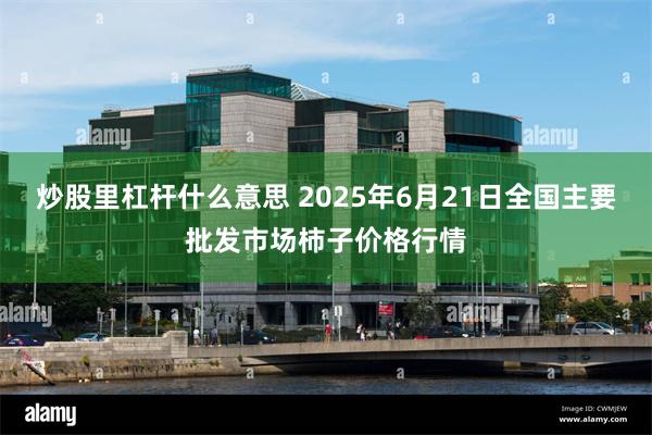 炒股里杠杆什么意思 2025年6月21日全国主要批发市场柿子价格行情