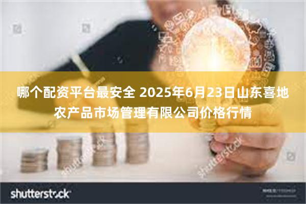 哪个配资平台最安全 2025年6月23日山东喜地农产品市场管理有限公司价格行情
