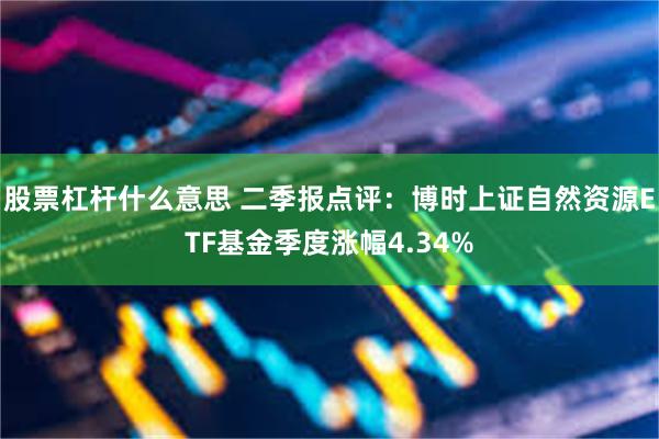 股票杠杆什么意思 二季报点评：博时上证自然资源ETF基金季度涨幅4.34%