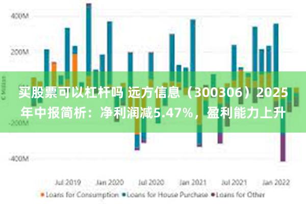 买股票可以杠杆吗 远方信息（300306）2025年中报简析：净利润减5.47%，盈利能力上升